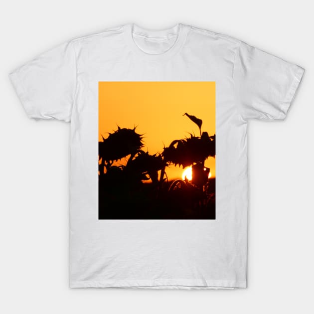 Loubille Sunset T-Shirt by JonDelorme